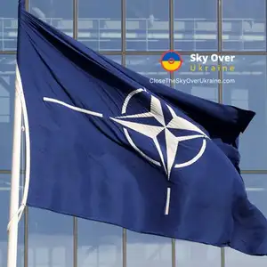 NATO: Russia will unlikely invade a member state in the near future