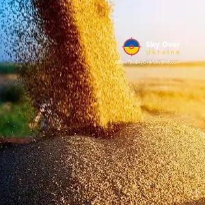 Poland reacts to Ukraine's proposal for grain licenses