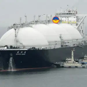 First EU company to refuse to buy Russian liquefied gas