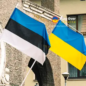 Lithuania calls on Estonia to join coalition to demine Ukraine