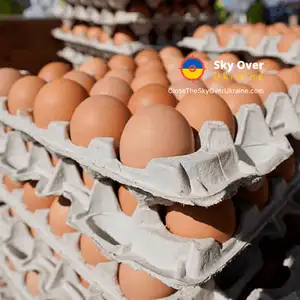The EU wants to return duties on eggs and sugar from Ukraine
